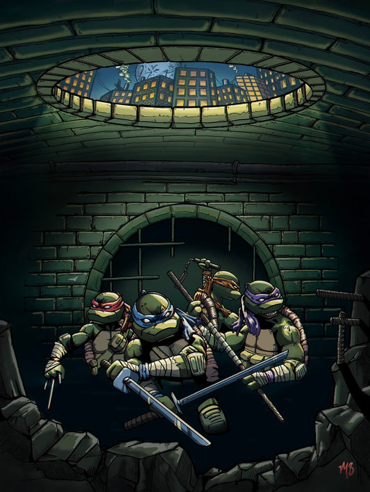 Ninja turtles